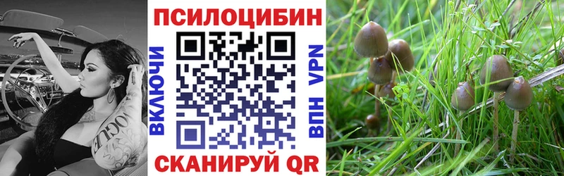 Псилоцибиновые грибы MAGIC MUSHROOMS  Мариинский Посад 